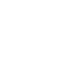 ModuleX