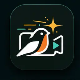 Gemini Omni