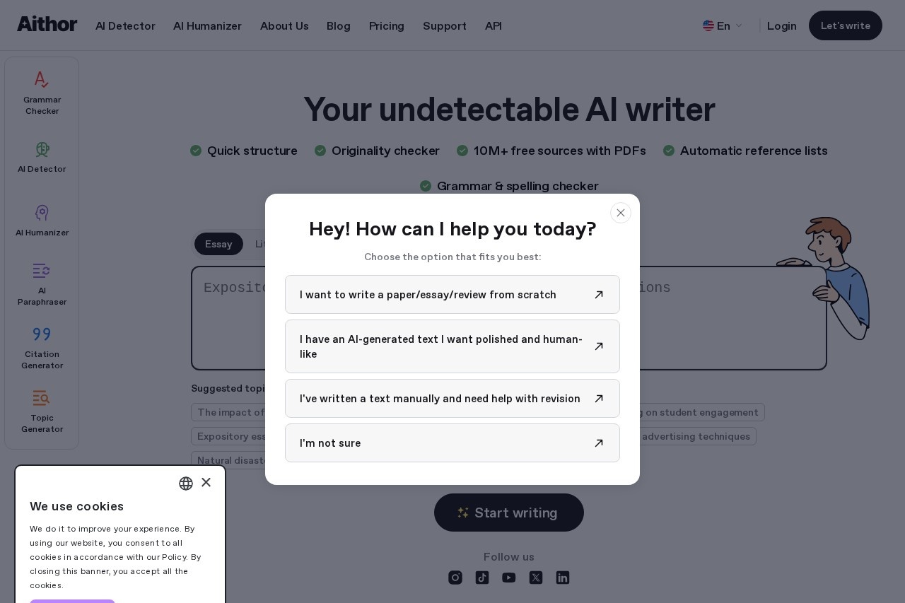 image for AI Essay Writer