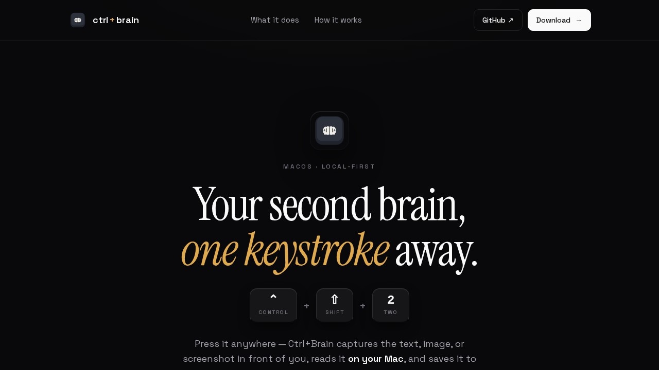 image for Ctrl+Brain