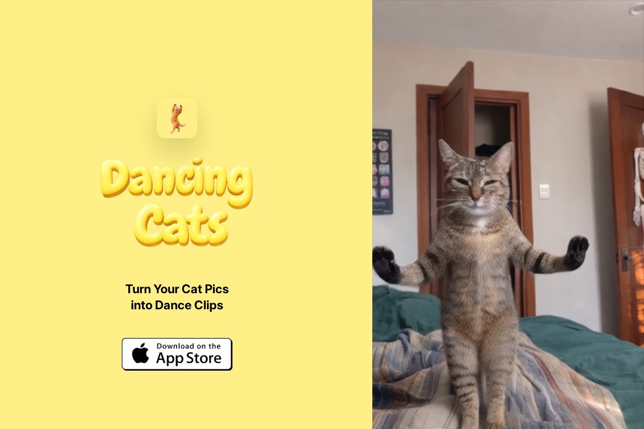 image for DANCING CATS
