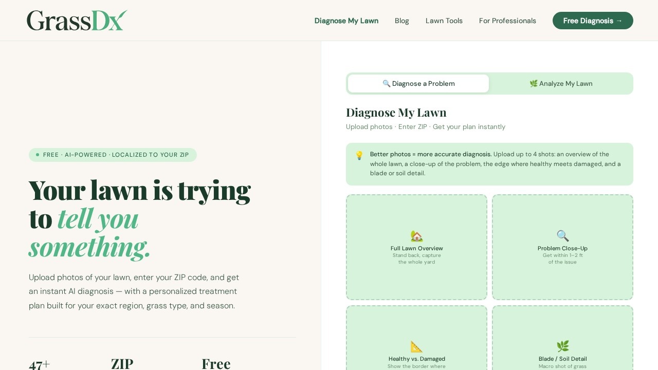 image for GrassDx