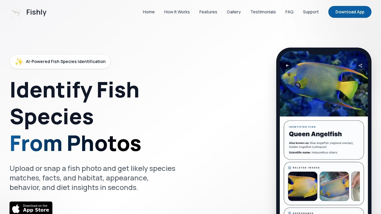 image for Fishly