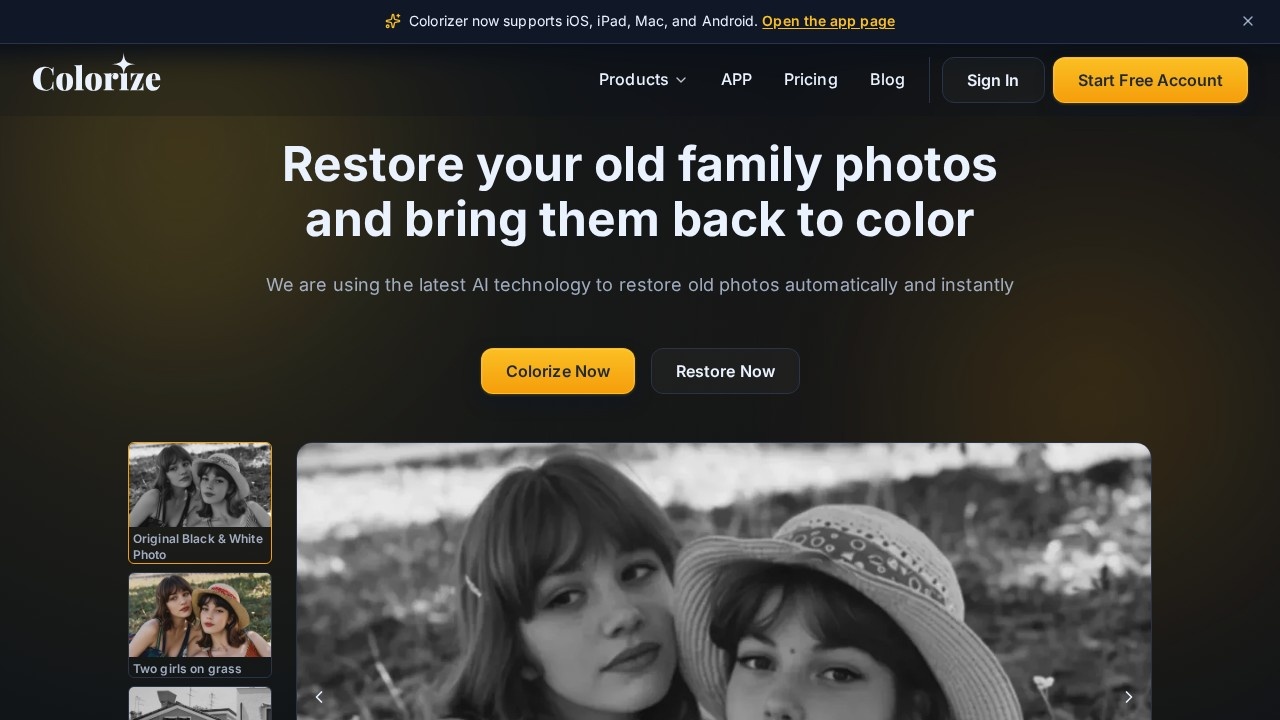 image for ImageColorizer