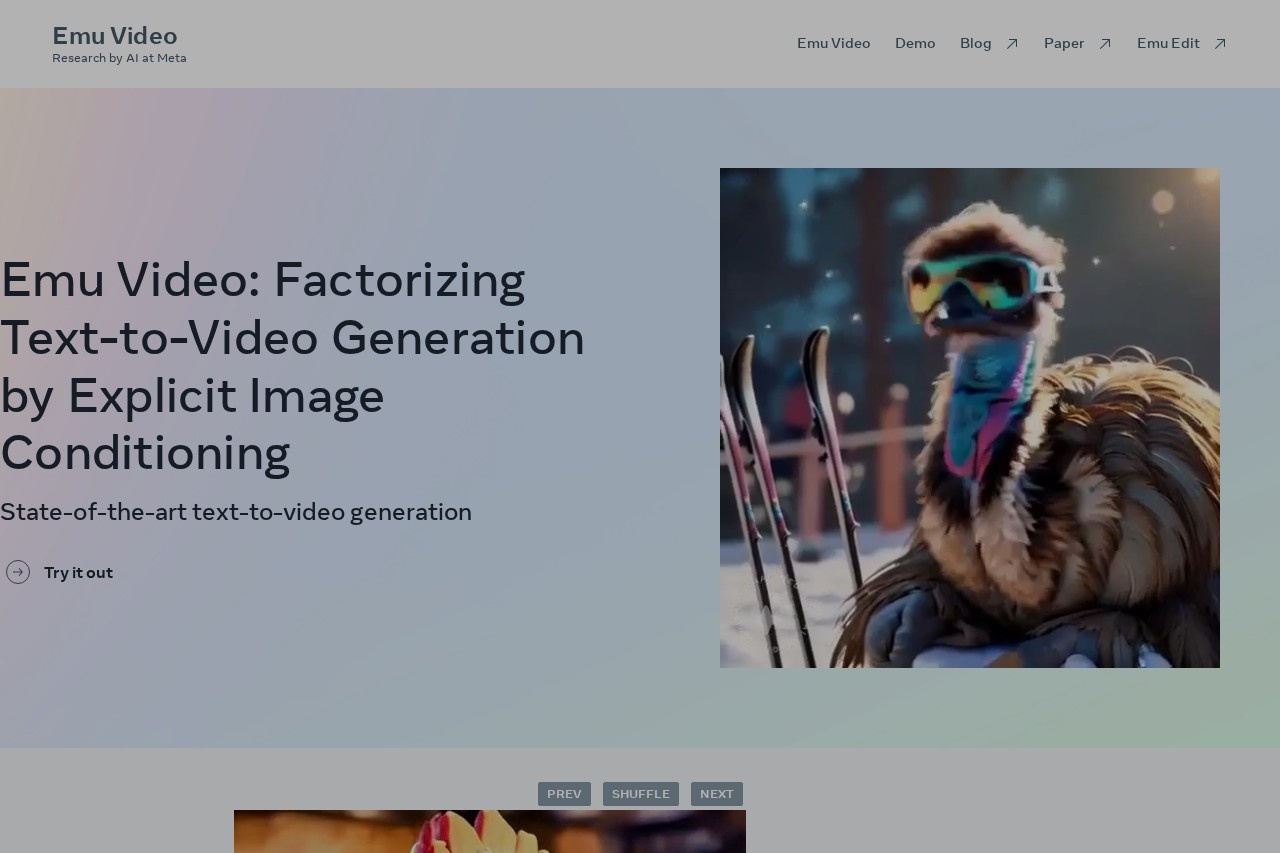 Emu Video screenshot