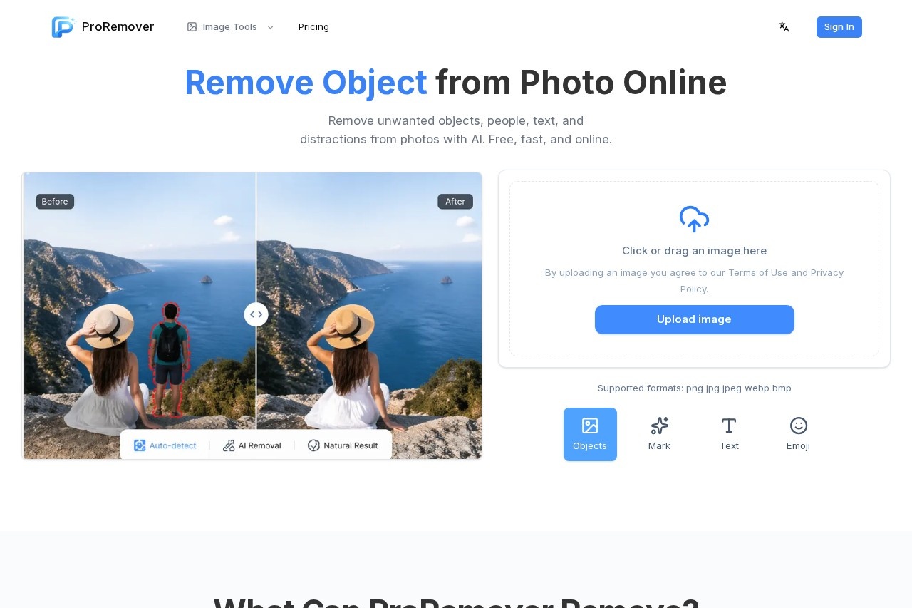 ProRemover screenshot