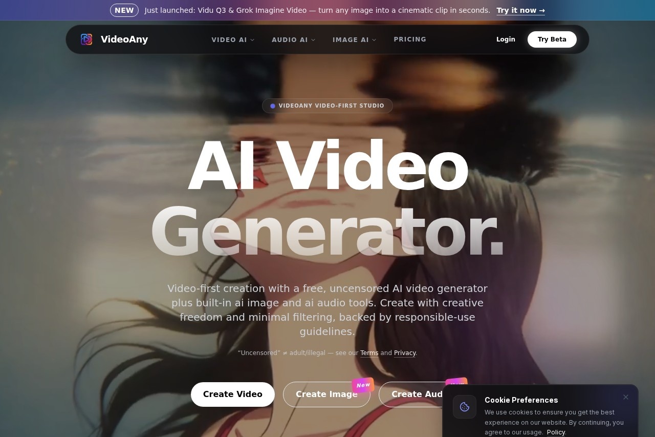 VideoAny screenshot