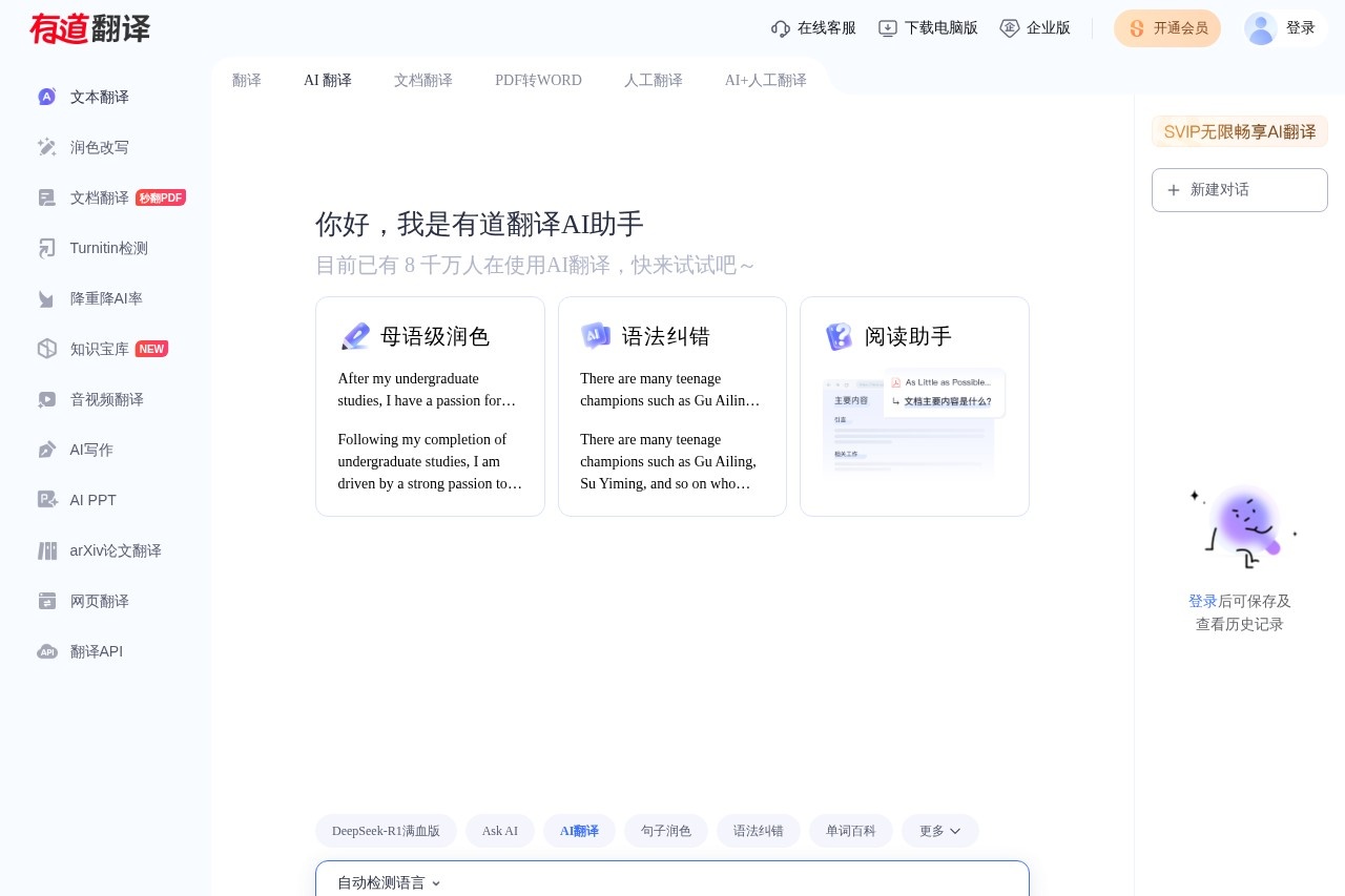 Youdao Translate screenshot